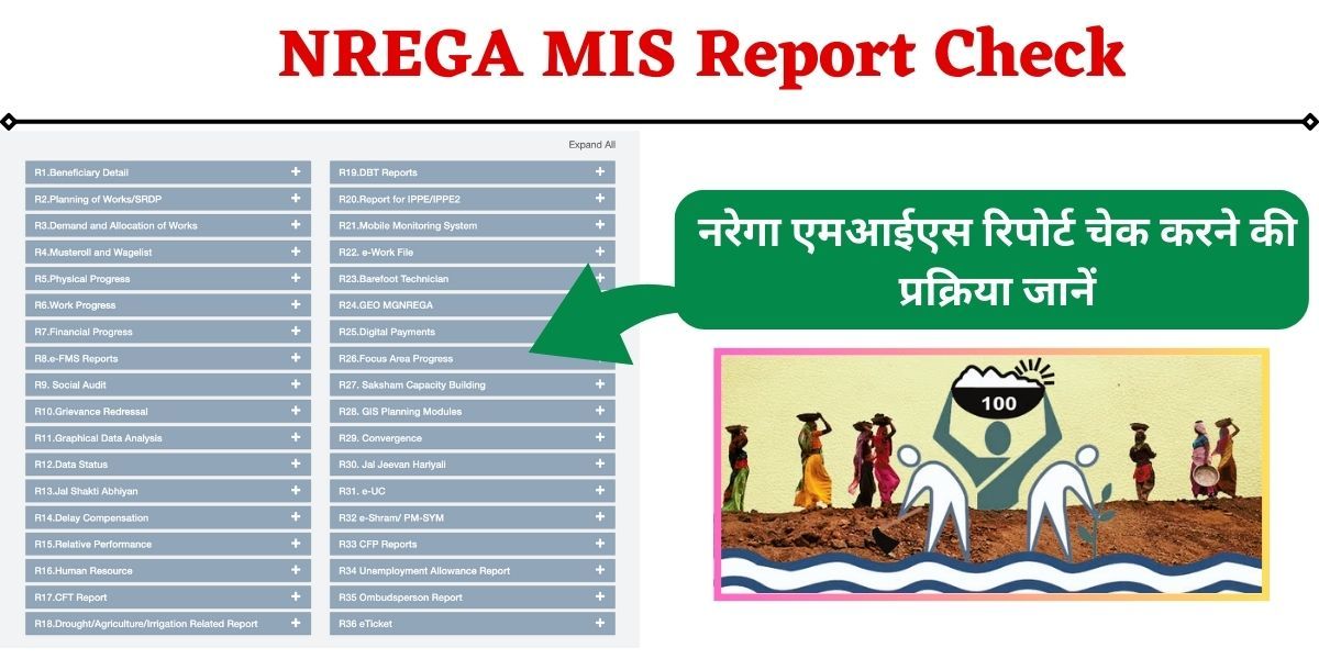 nrega mis report